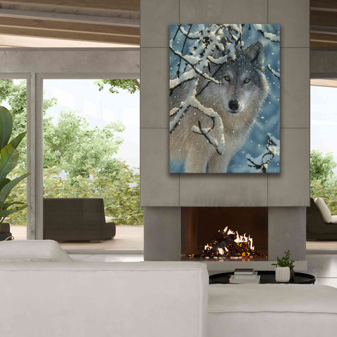 Image of 'Broken Silence' by Collin Bogle, Canvas Wall Art,40x54