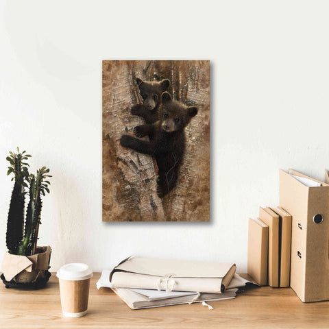 Image of 'Curious Cubs' by Collin Bogle, Canvas Wall Art,12x18