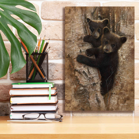 Image of 'Curious Cubs' by Collin Bogle, Canvas Wall Art,12x18