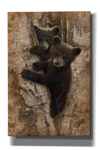 Image of 'Curious Cubs' by Collin Bogle, Canvas Wall Art,Size A Portrait