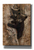 'Curious Cubs' by Collin Bogle, Canvas Wall Art,Size A Portrait