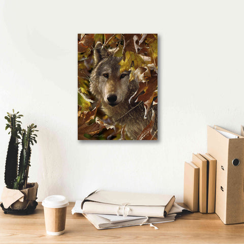Image of 'Autumn Shadows' by Collin Bogle, Canvas Wall Art,12x16