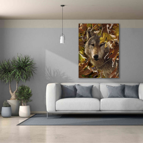 Image of 'Autumn Shadows' by Collin Bogle, Canvas Wall Art,40x54