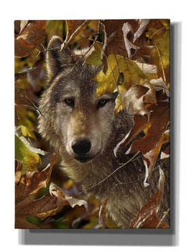 'Autumn Shadows' by Collin Bogle, Canvas Wall Art,Size C Portrait