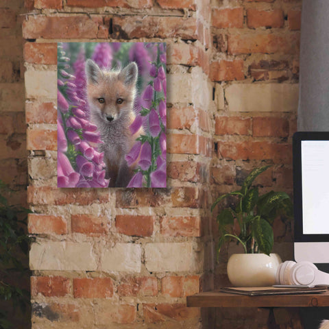 Image of 'Fox Gloves' by Collin Bogle, Canvas Wall Art,12x16