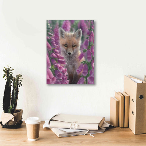 Image of 'Fox Gloves' by Collin Bogle, Canvas Wall Art,12x16