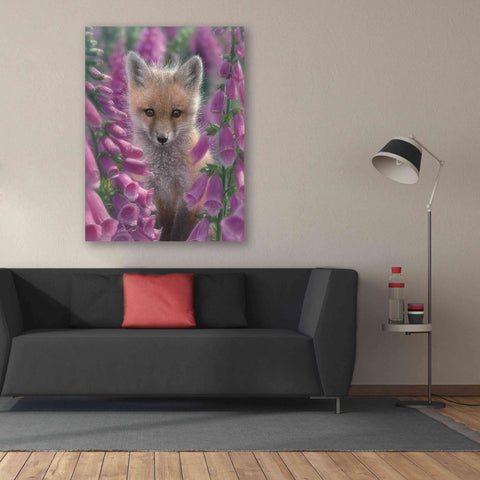 Image of 'Fox Gloves' by Collin Bogle, Canvas Wall Art,40x54
