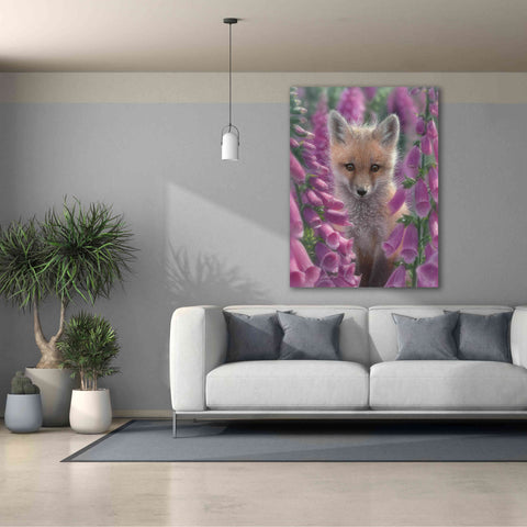 Image of 'Fox Gloves' by Collin Bogle, Canvas Wall Art,40x54