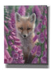 'Fox Gloves' by Collin Bogle, Canvas Wall Art,Size C Portrait