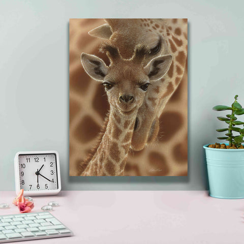 Image of 'New Born' by Collin Bogle, Canvas Wall Art,12x16
