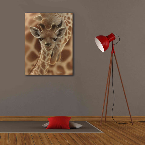 Image of 'New Born' by Collin Bogle, Canvas Wall Art,26x34