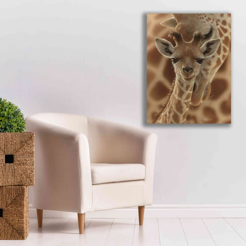 Image of 'New Born' by Collin Bogle, Canvas Wall Art,26x34
