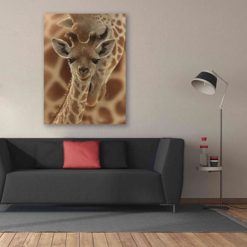 Image of 'New Born' by Collin Bogle, Canvas Wall Art,40x54