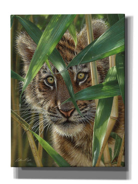 'Peekaboo' by Collin Bogle, Canvas Wall Art,Size C Portrait