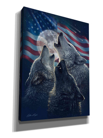 Image of 'Wolf Trinity Patriotic' by Collin Bogle, Canvas Wall Art,Size C Portrait
