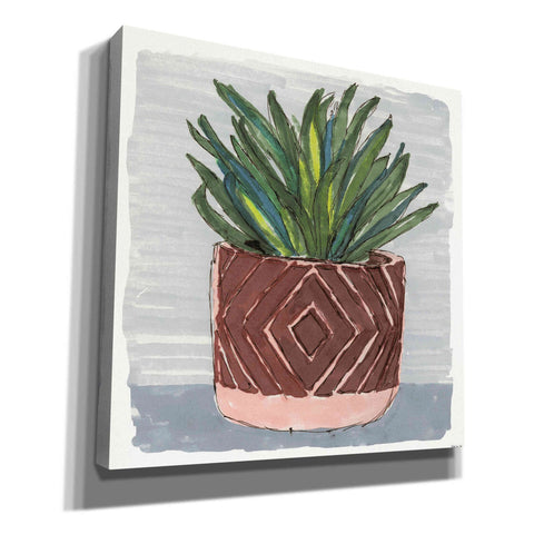 Image of 'Potted Agave II' by Stellar Design Studio, Canvas Wall Art