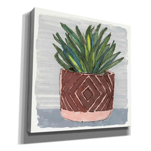 'Potted Agave II' by Stellar Design Studio, Canvas Wall Art