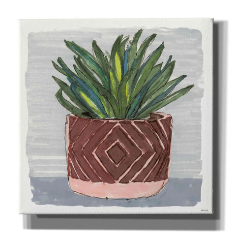 Image of 'Potted Agave II' by Stellar Design Studio, Canvas Wall Art