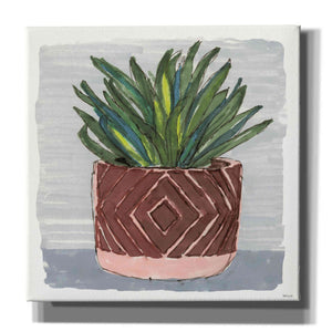 'Potted Agave II' by Stellar Design Studio, Canvas Wall Art