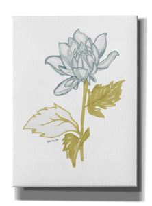 'Countryside Bloom 1' by Stellar Design Studio, Canvas Wall Art