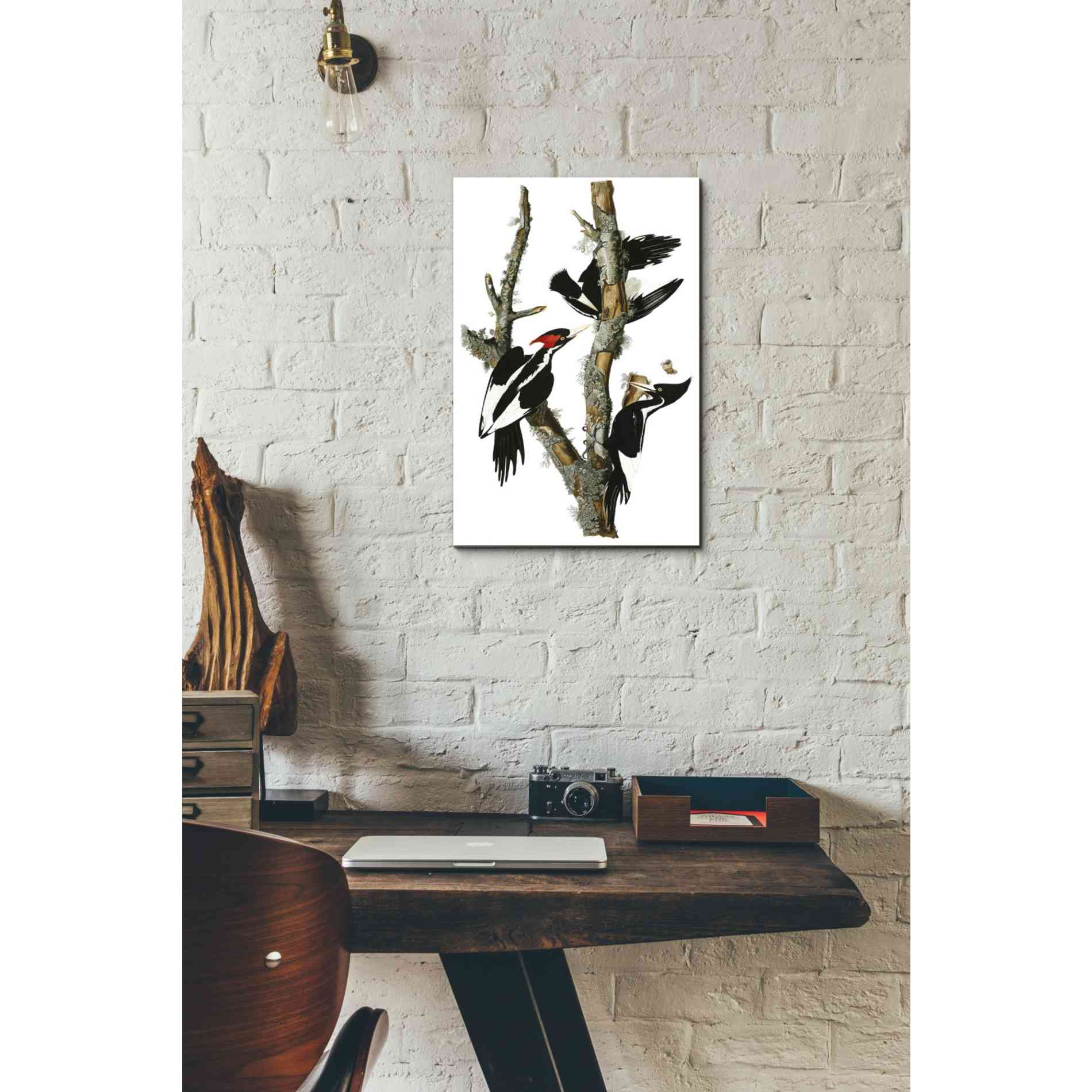 'Ivory-billed Woodpecker' by John James Audubon Canvas Wall Art,12x18