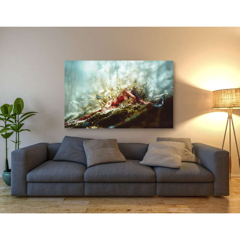 Image of 'A Matter of Decay' by Mario Sanchez Nevado, Canvas Wall Art,40 x 60