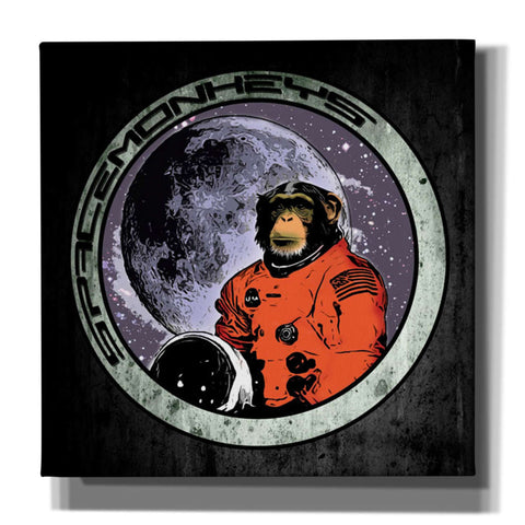 Image of "Space Monkeys" by Nicklas Gustafsson, Giclee Canvas Wall Art