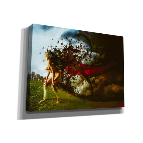 Image of 'The End of The Lonely Days' by Mario Sanchez Nevado, Canvas Wall Art,Size A Landscape
