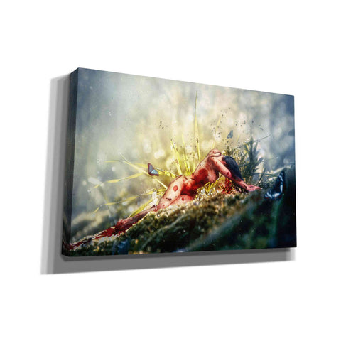 Image of 'A Matter of Decay' by Mario Sanchez Nevado, Canvas Wall Art,Size A Landscape