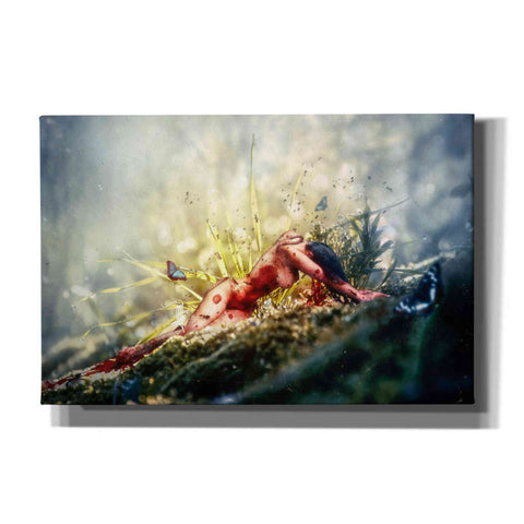 Image of 'A Matter of Decay' by Mario Sanchez Nevado, Canvas Wall Art,Size A Landscape