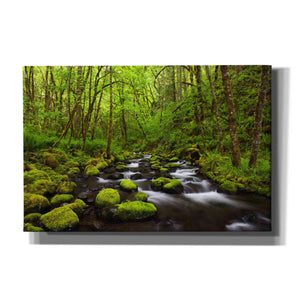 'Where the Green Grows' by Darren White, Canvas Wall Art