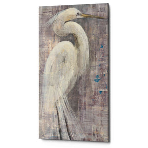 'Coastal Egret I Legs' by Albena Hristova, Canvas Wall Art