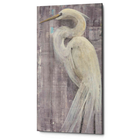 Image of 'Coastal Egret II Legs' by Albena Hristova, Canvas Wall Art