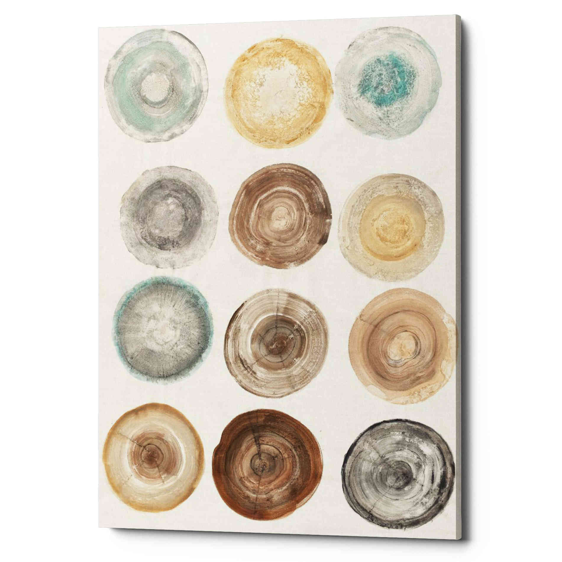 'Counting the Years' by Albena Hristova, Canvas Wall Art