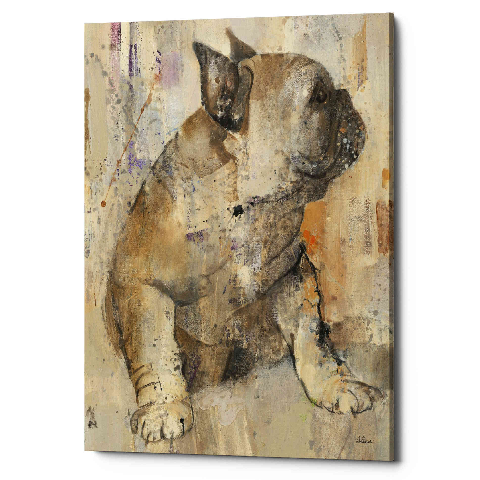 'Duke' by Albena Hristova, Canvas Wall Art