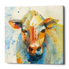 'Happy Cows II' by Albena Hristova, Canvas Wall Art
