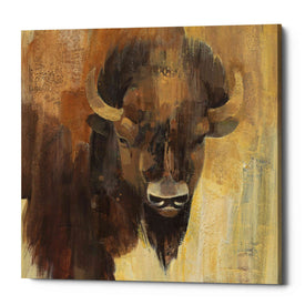 'Into the Wild I' by Albena Hristova, Canvas Wall Art