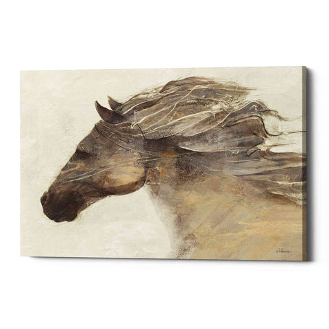 Image of 'Into the Wind Ivory Crop' by Albena Hristova, Canvas Wall Art