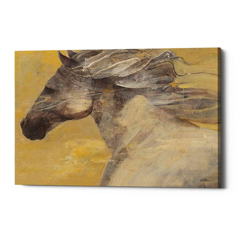 Image of 'Into the Wind' by Albena Hristova, Canvas Wall Art