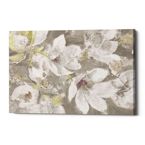 Image of 'Magnolias in Bloom Greige' by Albena Hristova, Canvas Wall Art
