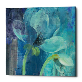 'Moonlight Garden' by Albena Hristova, Canvas Wall Art