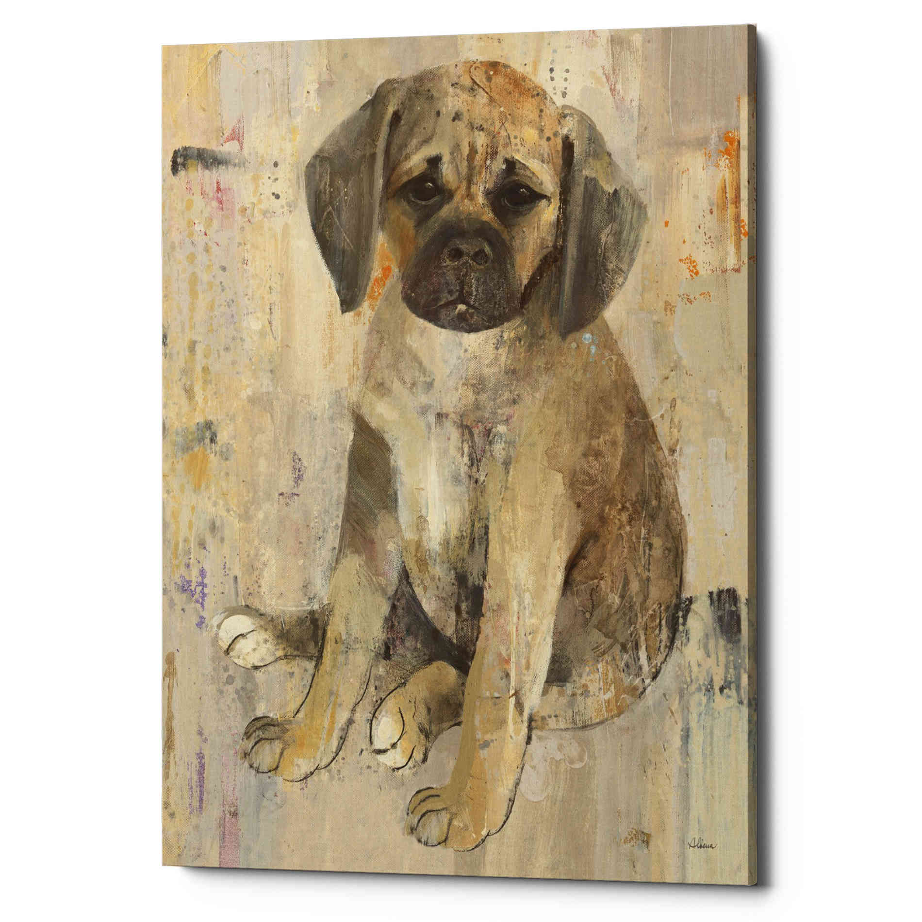 'Paco v2' by Albena Hristova, Canvas Wall Art