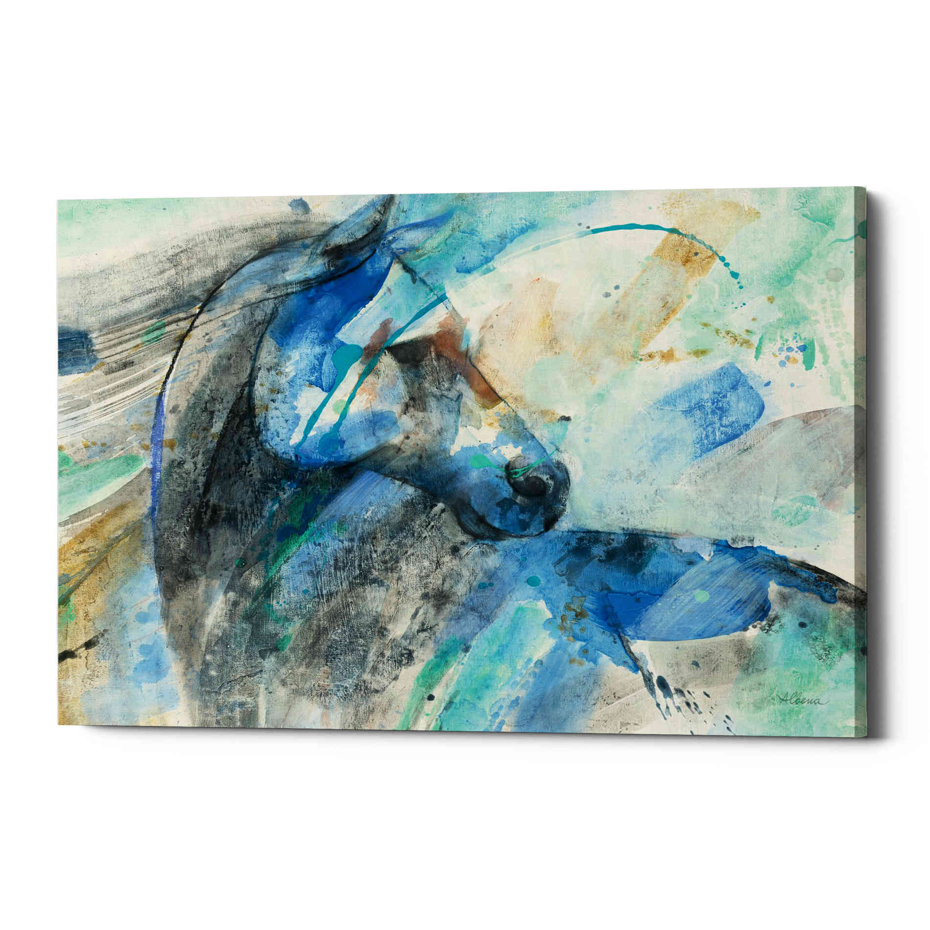 'Paloma' by Albena Hristova, Canvas Wall Art