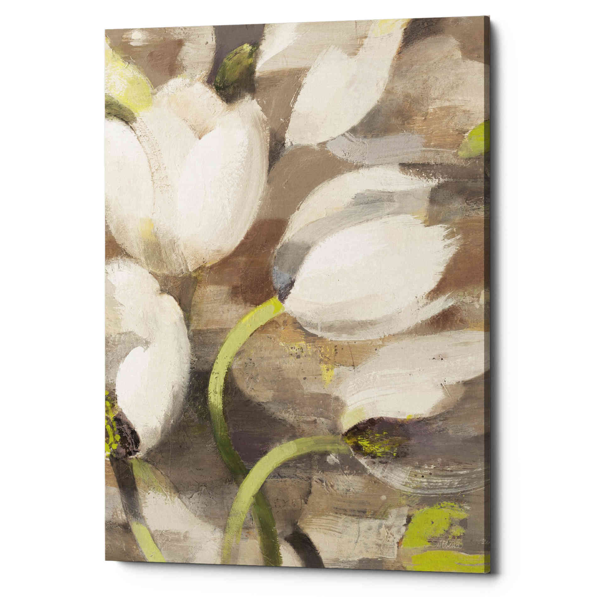 'Tulip Delight II' by Albena Hristova, Canvas Wall Art