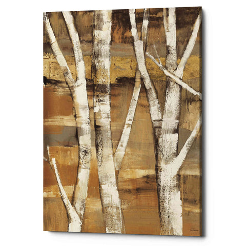 Image of 'Wandering Through the Birches I' by Albena Hristova, Canvas Wall Art