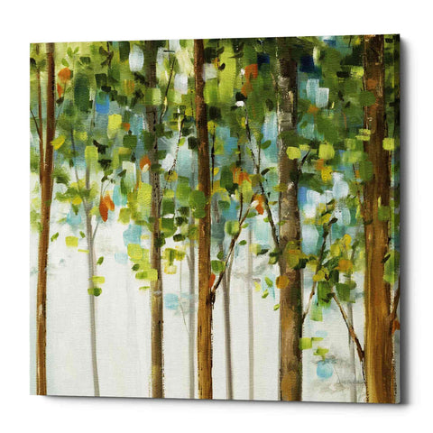 Image of 'Forest Study III' by Lisa Audit, Canvas Wall Art,