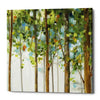 'Forest Study III' by Lisa Audit, Canvas Wall Art,
