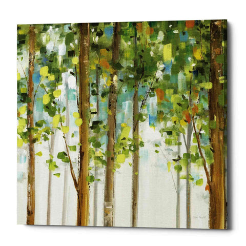 Image of 'Forest Study' by Lisa Audit, Canvas Wall Art,