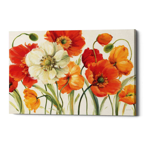 Image of 'Poppies Melody I' by Lisa Audit, Canvas Wall Art,