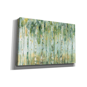 'The Forest I' by Lisa Audit, Canvas Wall Art,